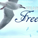 Fear Free