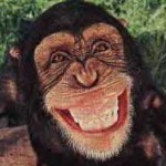 monkey_smiling